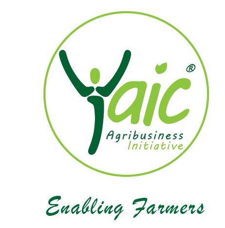 YAIC Agribusiness Initiative